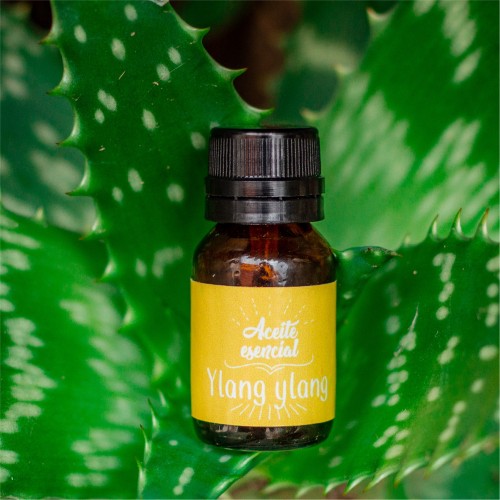 Aceite esencial de Ylang ylang
